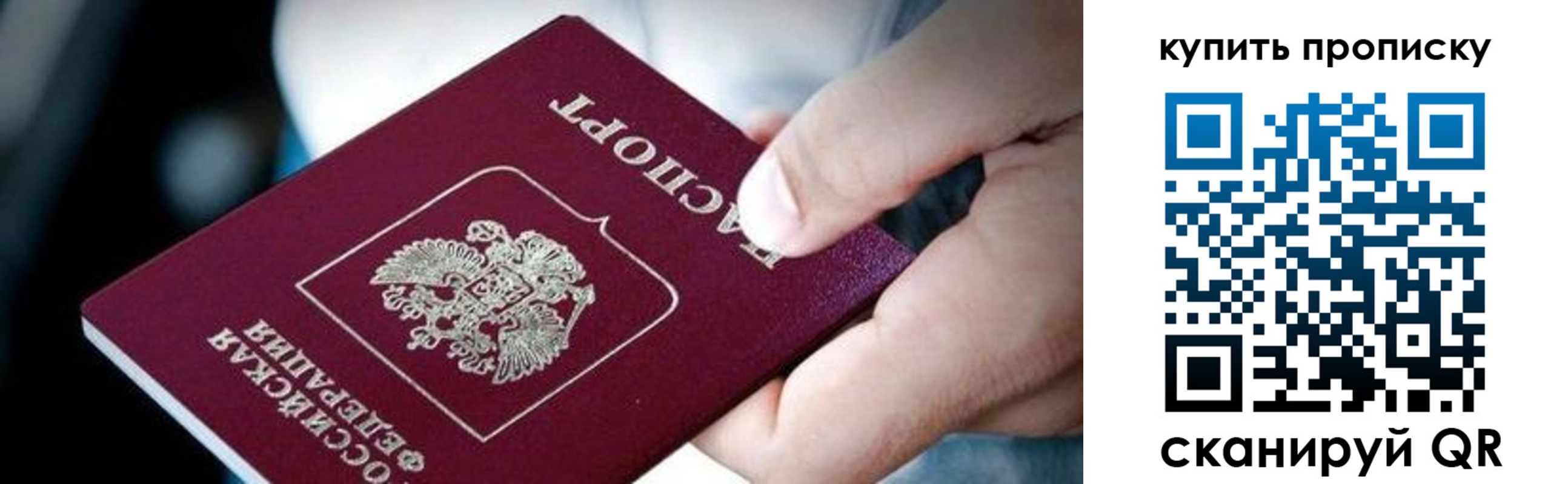 прописка поиск в Нововоронеже